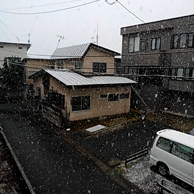 初雪ですの画像