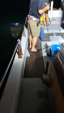 2026.9.25  夜便/深夜便　ワタリガニ掬いの記事動画