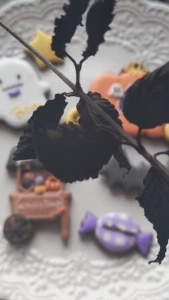 ハロウィンパーティーを彩る♡ハロウィンアイシングクッキーレッスンの記事動画