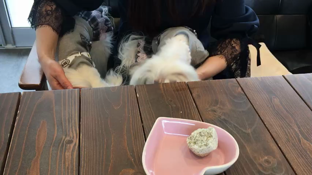 なんちゃって姉妹でお揃コーデ♡の記事動画