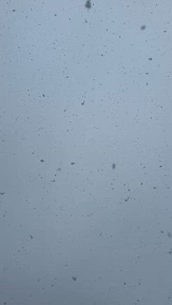 なごり雪とバルダーヌショコラクッキーの記事動画