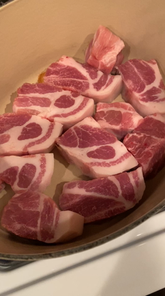 お休みの日の夕ご飯の記事動画