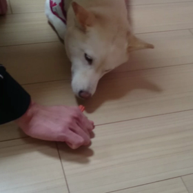 パパさんの お誕生日の画像