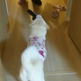 弟が大好きの画像