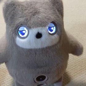 2026/06/11の画像