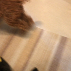 人の言葉がわかるようになってきたの画像