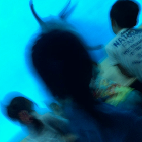 イルカの画像