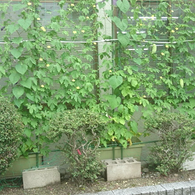 土曜日の画像
