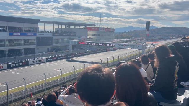 11月30日！の記事動画