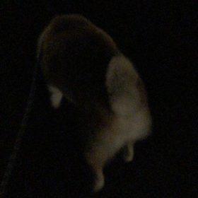 想い出。の画像