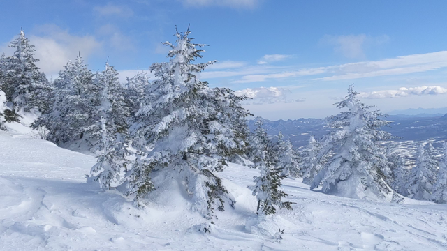 絶景✨四阿山スノーハイク⑤の記事動画