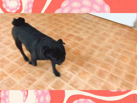 本日のほいくえん4！の記事動画