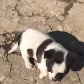 ソルラル連休の画像