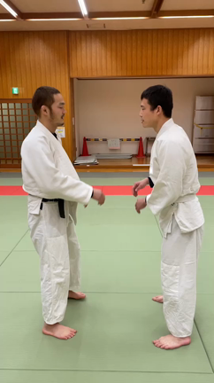 おいしい土曜日の記事動画