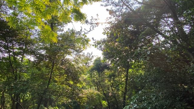韓国の聖地　素晴らしいヒーリングの記事動画