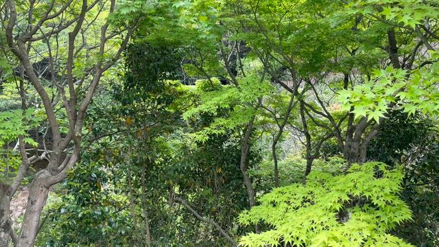 5月のエネルギー∞の記事動画