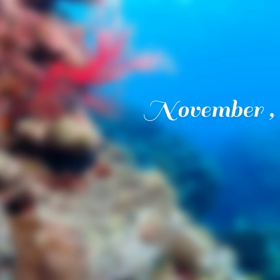 今日から11月スタート！の画像