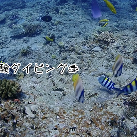 Let's go diving ＊°+.の画像