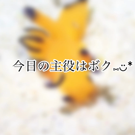 まったりとマンツーマンで♪の画像