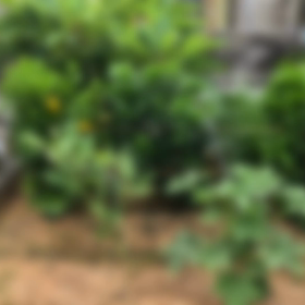 台風に備えて対策しましょ！の画像
