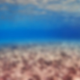 癒しの海をお届けっ＊の画像