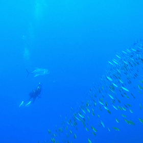 10月の海始めですっ♪の画像