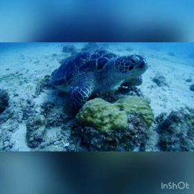 出逢いは突然やってくる♡の画像