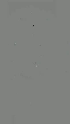 片貝まつりの記事動画
