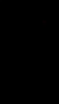 片貝まつりの記事動画