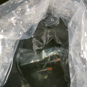 新たなメダカの画像