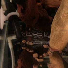 もぐもぐタイムの画像