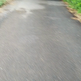 鈴虫&お散歩の画像