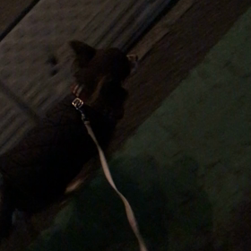 冬は超高速の画像
