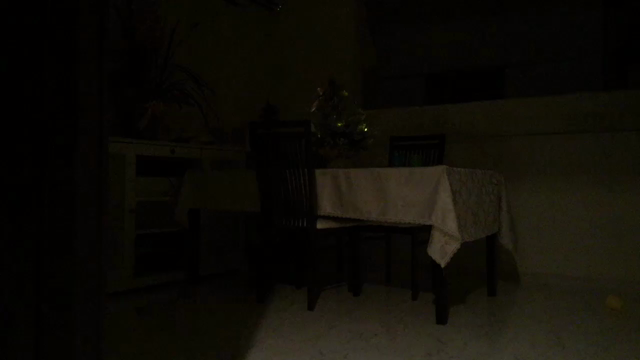 サンタさんを隠し撮り♡の記事動画