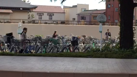 ララガーデン川口！の記事動画