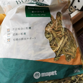 茶々1才7ヶ月の画像