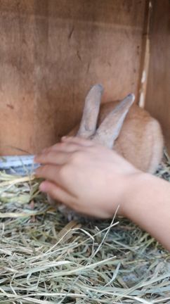 茶々1才7ヶ月の記事動画