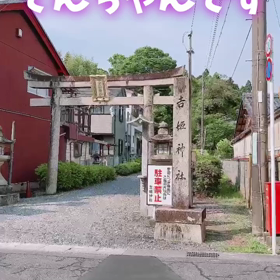 神社で蛇に遭遇！予感敵中。人生が変わるメッセージ到来♪の画像