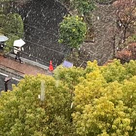 降り出しましたの画像
