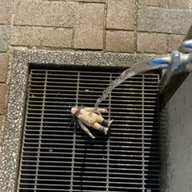 動画の画像