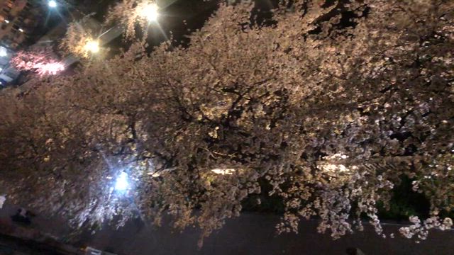 水星の逆行が明けます♪の記事動画