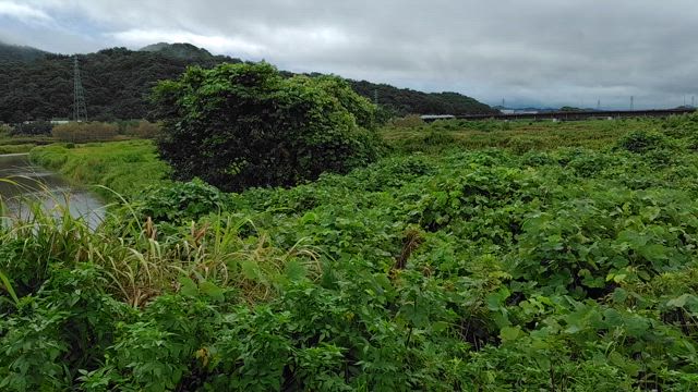 もうすぐ終わる夏休みの記事動画