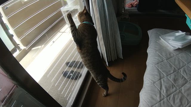 疲れたら休もう！の記事動画