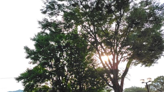 母と息子の夏休みの記事動画
