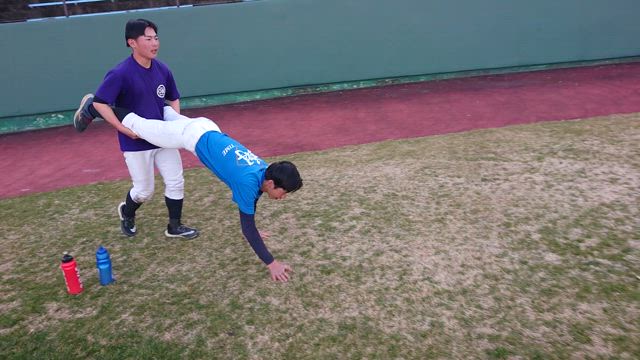 面白動画の記事動画
