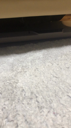 困ったちゃん。の記事動画