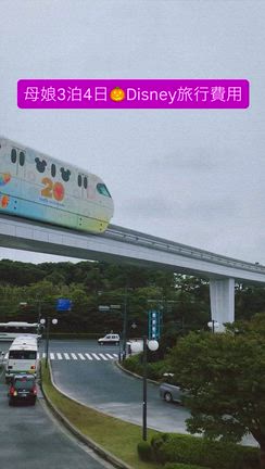母娘3泊4日Disneyにかけた旅行費♪の記事動画