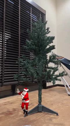 クリスマス支度♪の記事動画