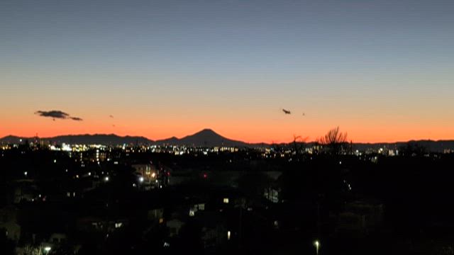 水元公園パトロール12/29タシギ、カワセミ他の記事動画