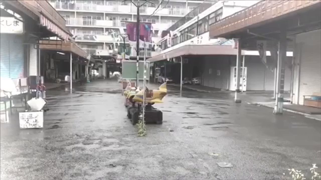 雨の中踊ってみました。の記事動画